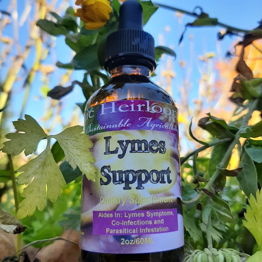 PROTOCOL FOUR-LYME DISEASE, Lymes Support, Lyme Herbal Remedy Detox