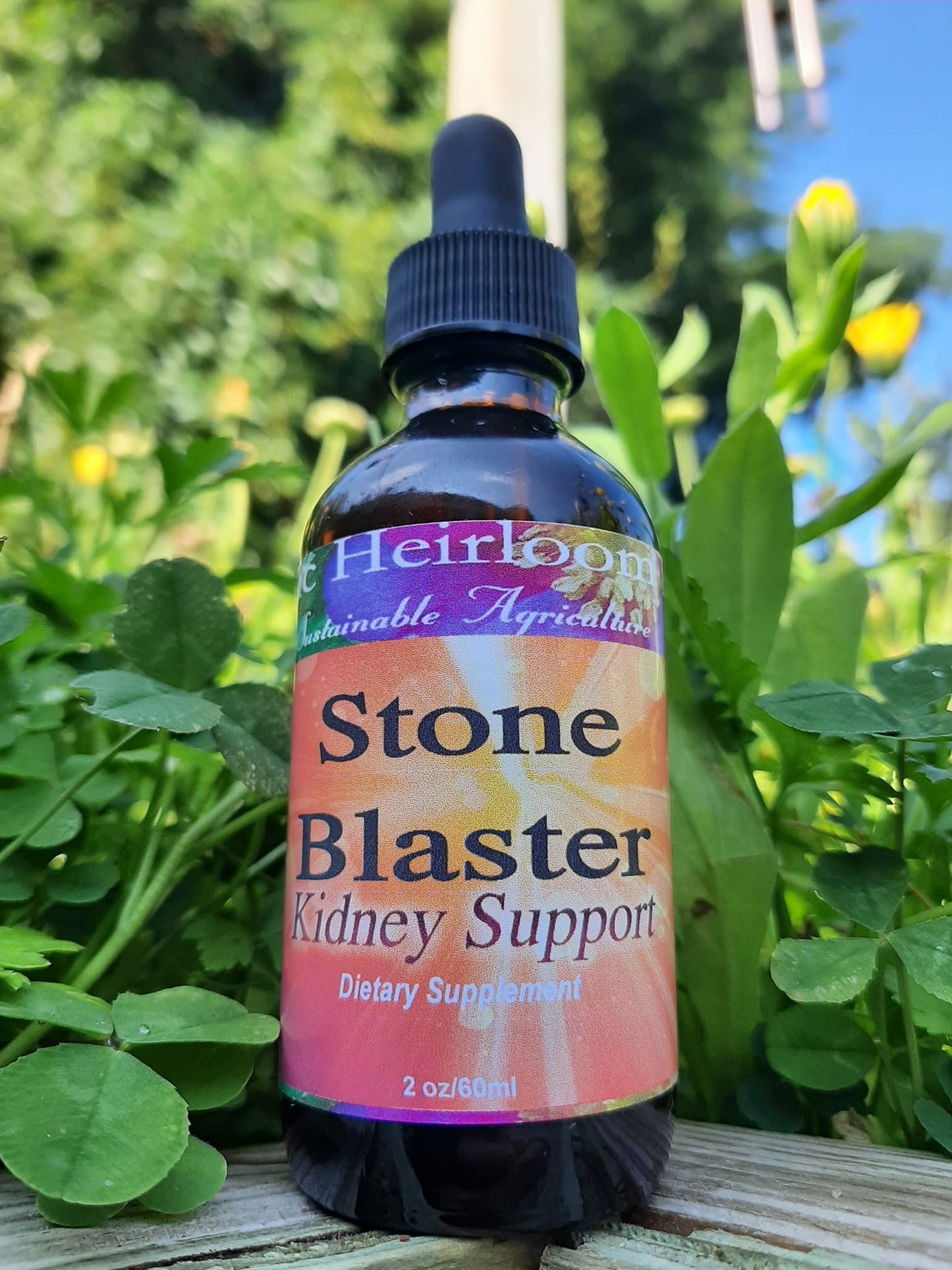 KIDNEY STONE BLASTER, Herbal Tincture, Kidney Support, Herbal Remedy