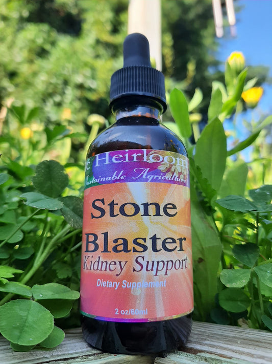 KIDNEY STONE BLASTER, Herbal Tincture, Kidney Support, Herbal Remedy