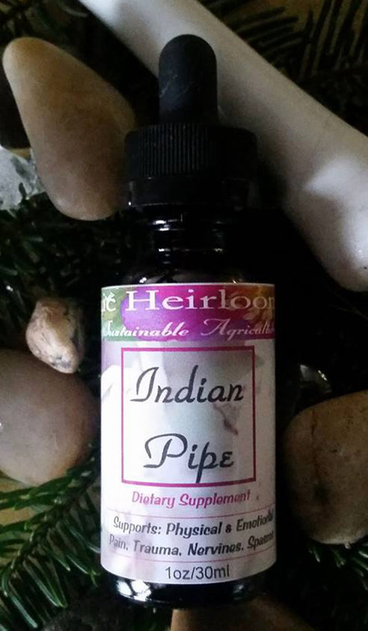 INDIAN PIPE, Herbal Tincture, Pain Relief, Trauma, Nervine, Spasms Support