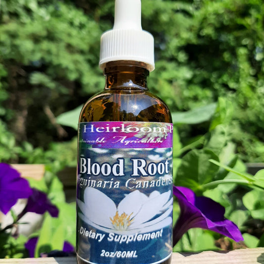 BLOOD ROOT, Sanguinaria Canadensis, Herbal Tincture, Herbal Extract
