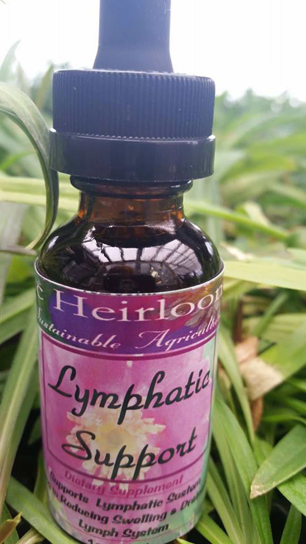 LYMPHATIC SUPPORT-Herbal Tincture-Herbal Remedy-Lymph System Balancing